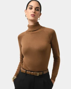Clarisse Turtleneck Sweater