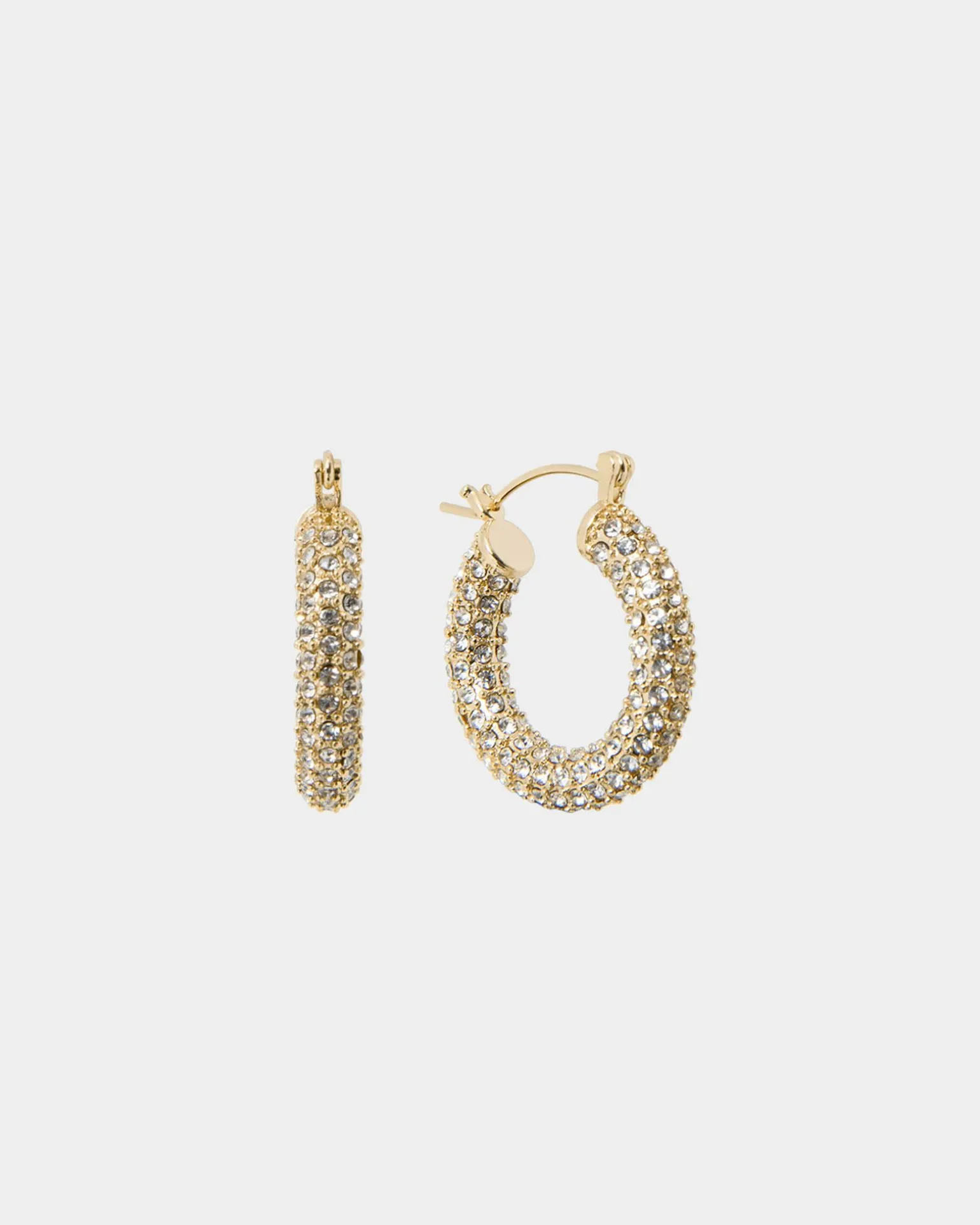 Leonie Gold Plated Earrings