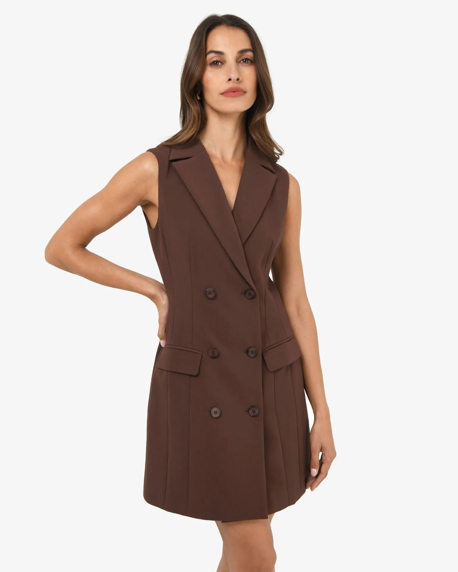 Nikki Double Breasted Dress
