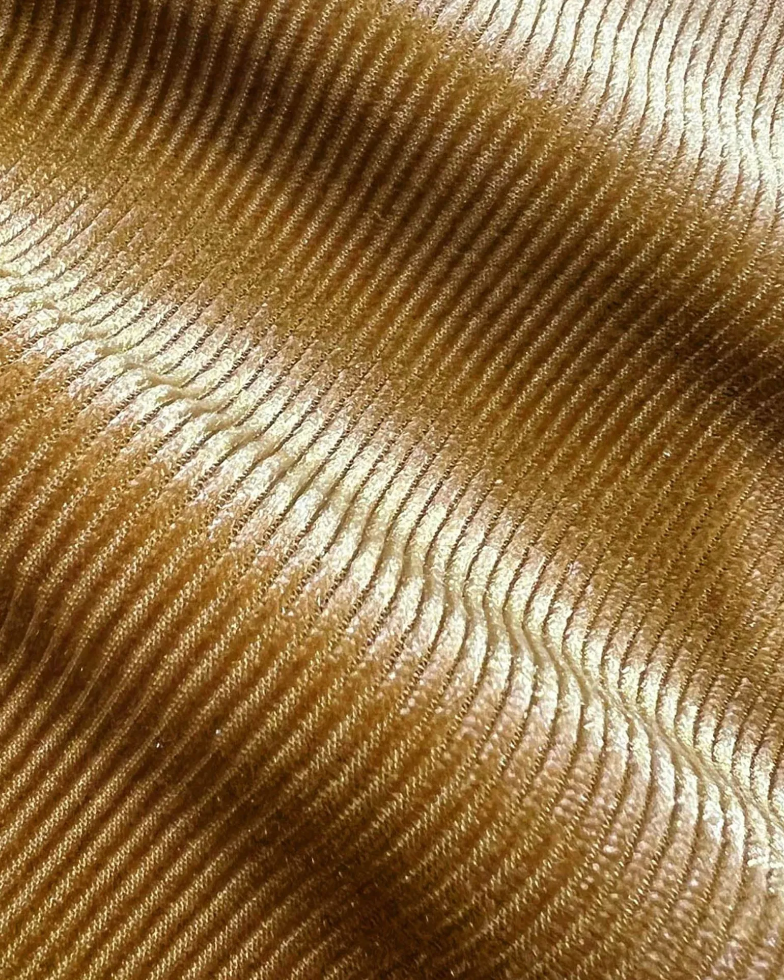 Rowan Corduroy Pants
