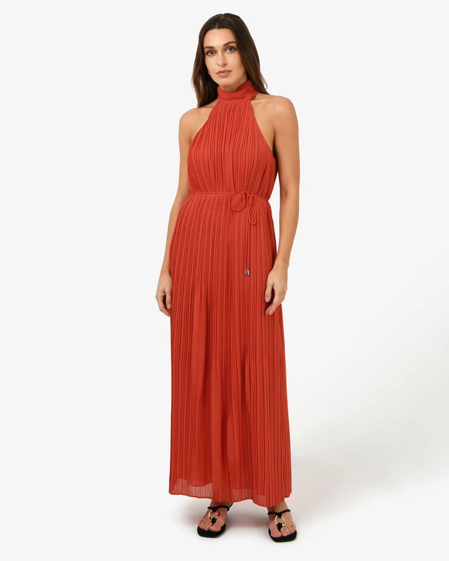 Shelly Chiffon Pleated Dress