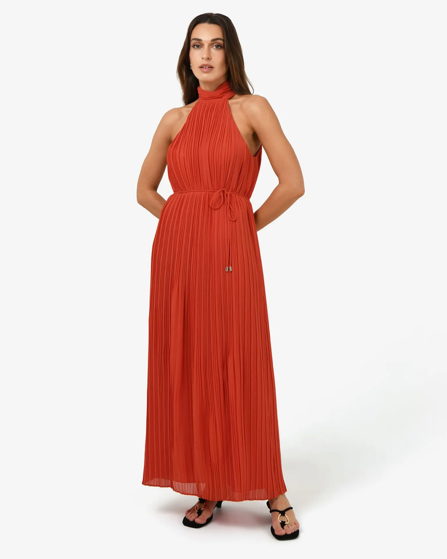Shelly Chiffon Pleated Dress
