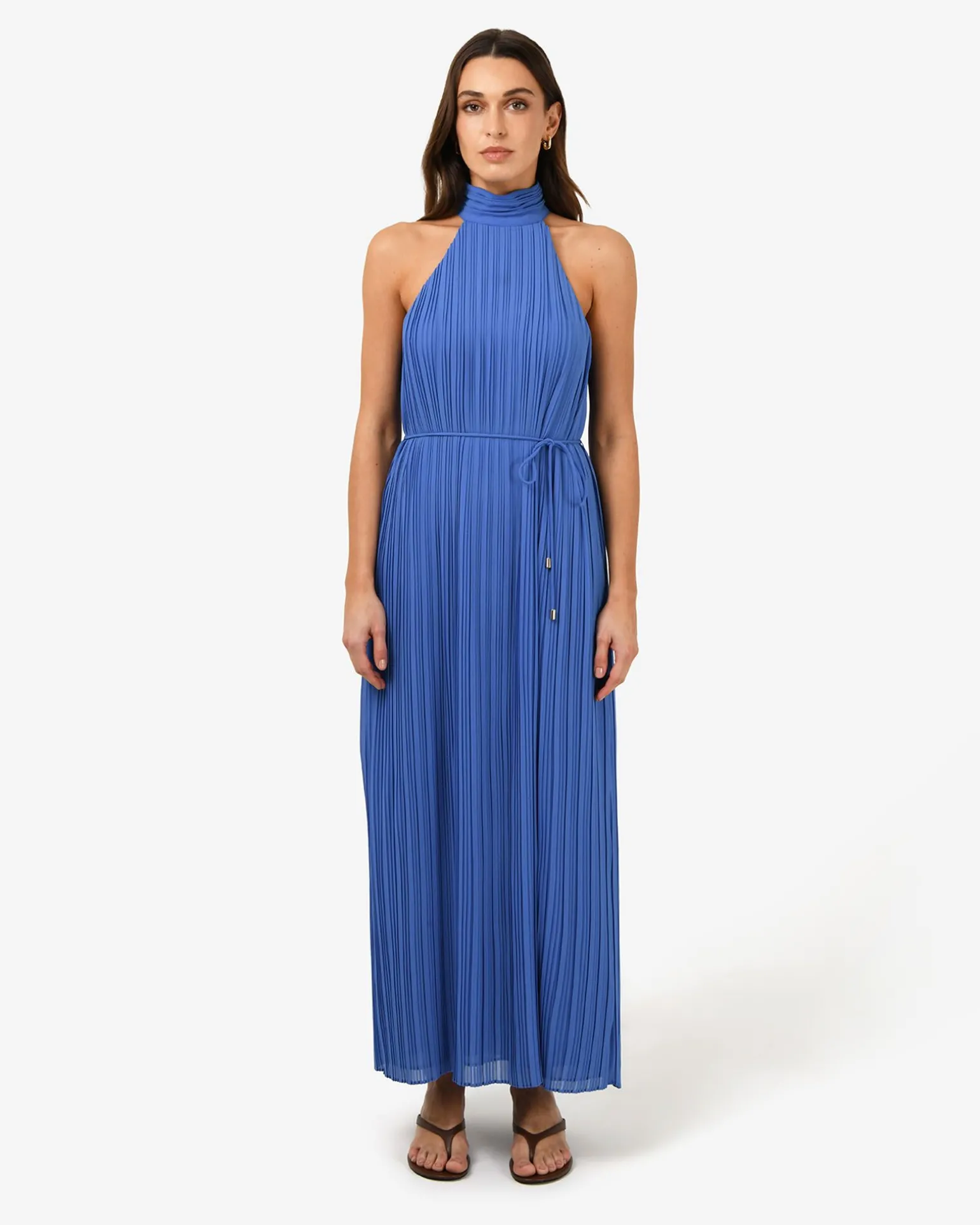 Shelly Chiffon Pleated Dress