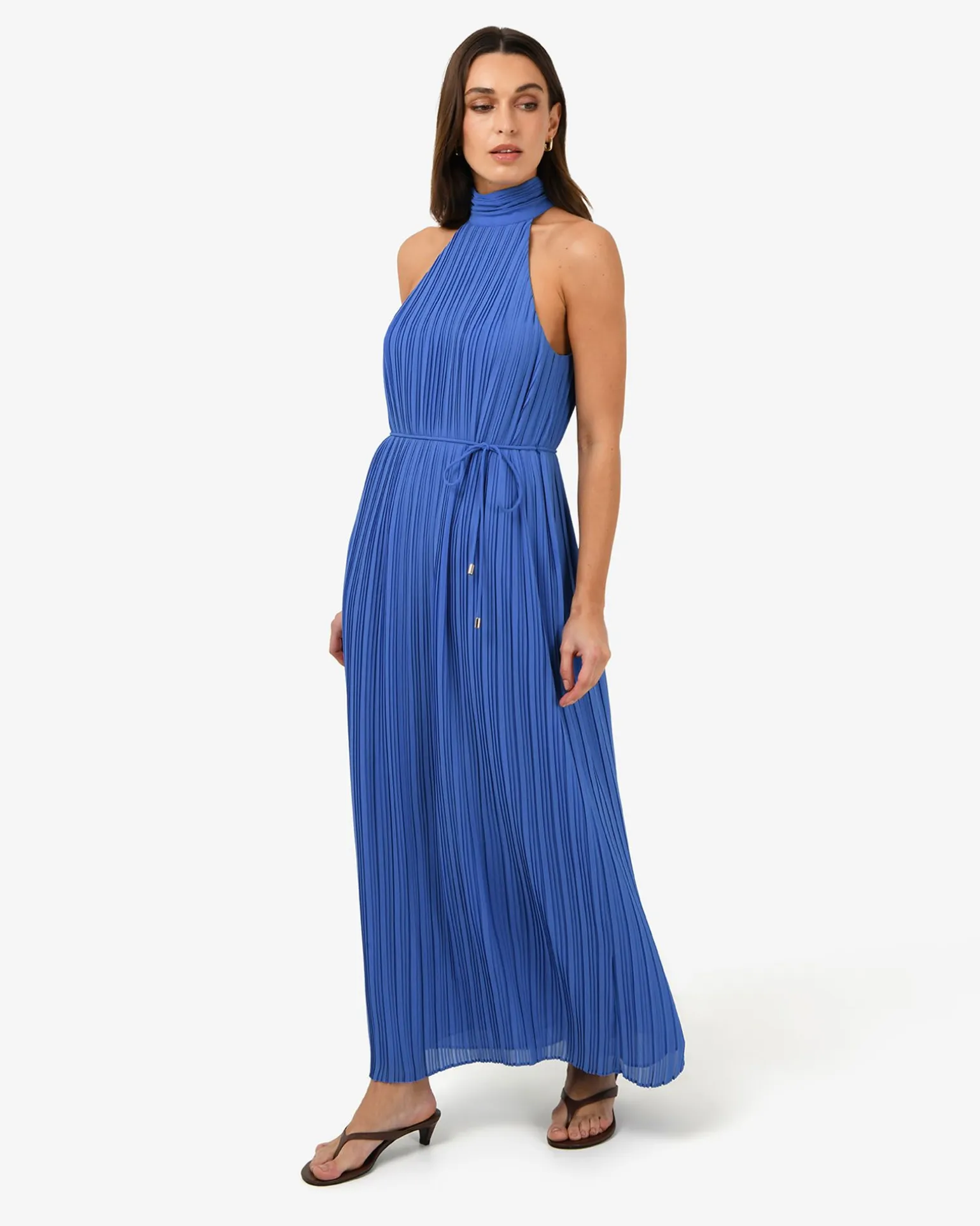 Shelly Chiffon Pleated Dress