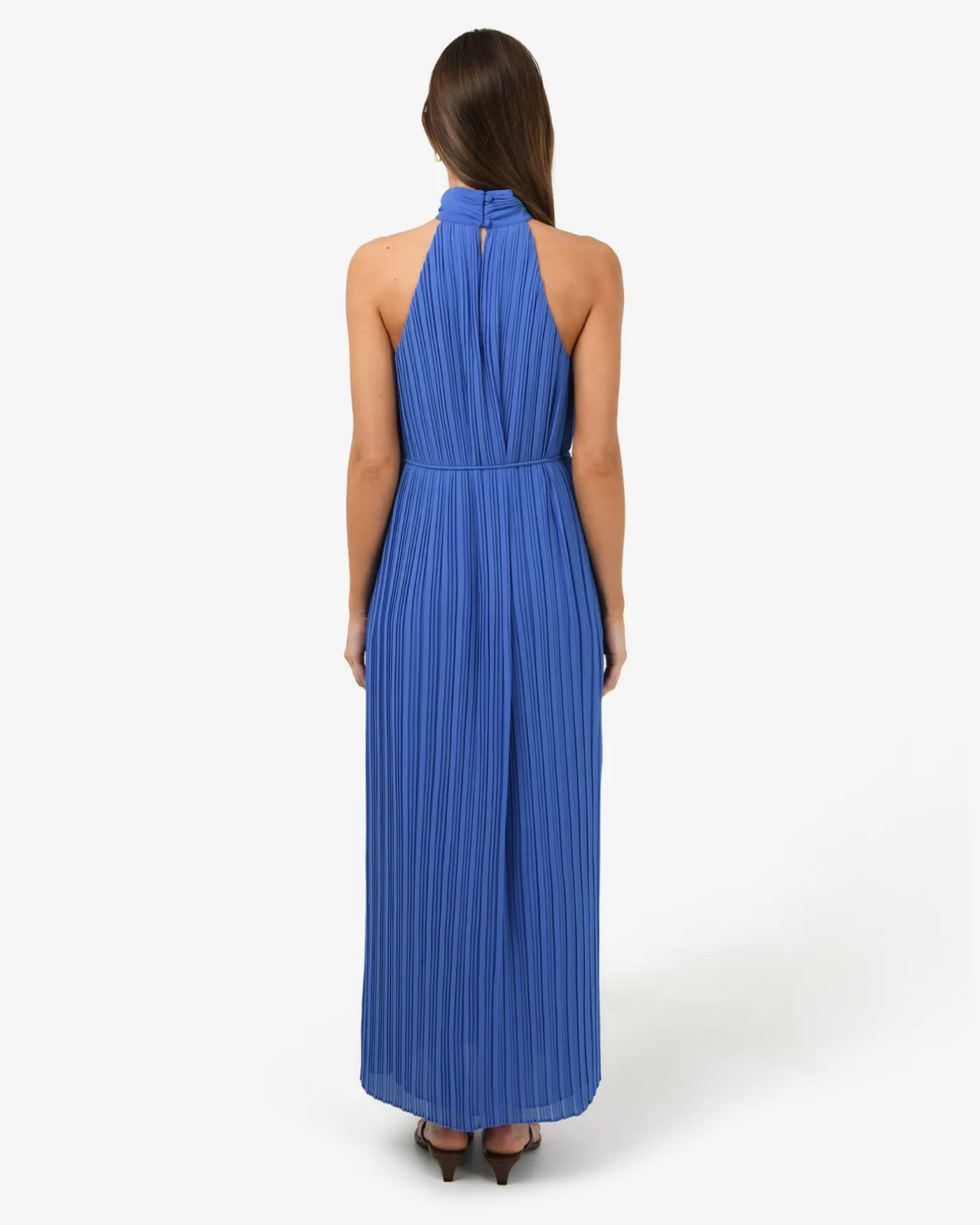 Shelly Chiffon Pleated Dress