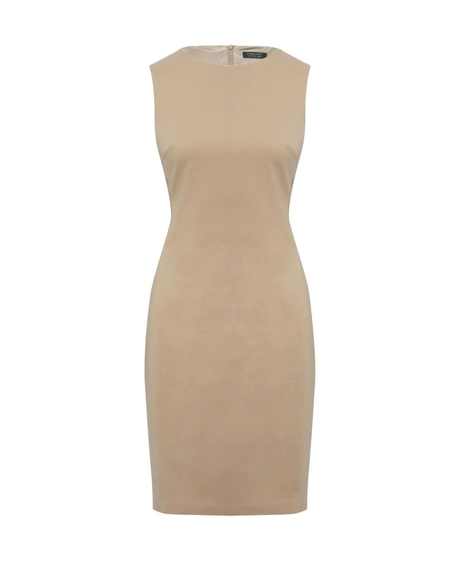 Taylor Fitted Dress